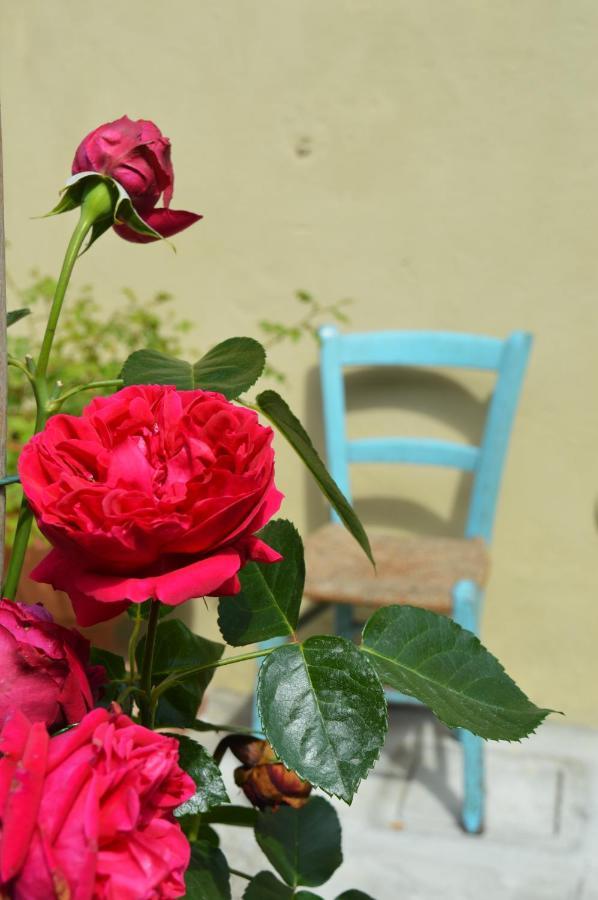 B&B Lady Cocca Savio di Ravenna Exterior foto