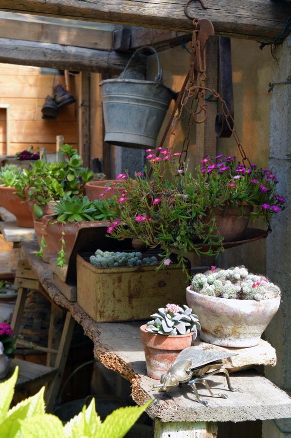 B&B Lady Cocca Savio di Ravenna Exterior foto