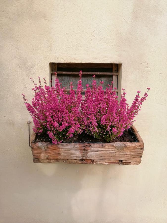 B&B Lady Cocca Savio di Ravenna Exterior foto