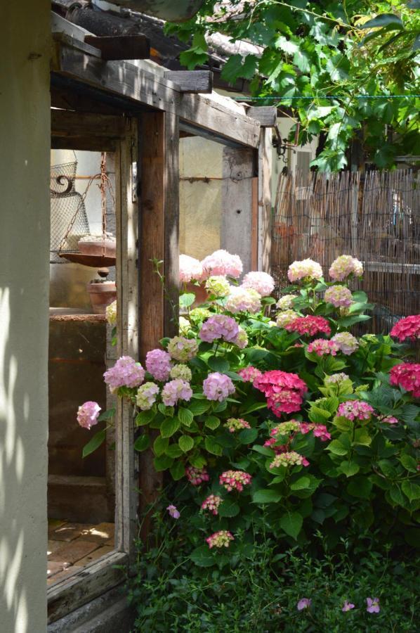B&B Lady Cocca Savio di Ravenna Exterior foto