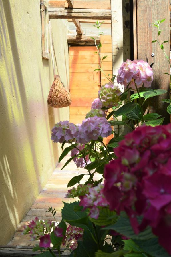B&B Lady Cocca Savio di Ravenna Exterior foto